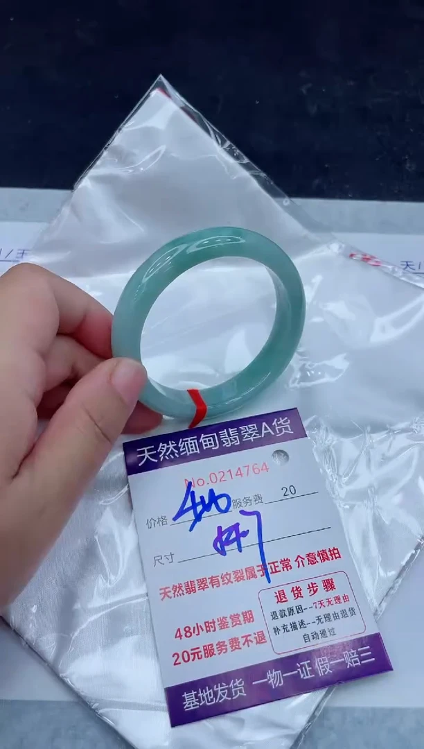 未镶嵌手镯翡翠400.0000