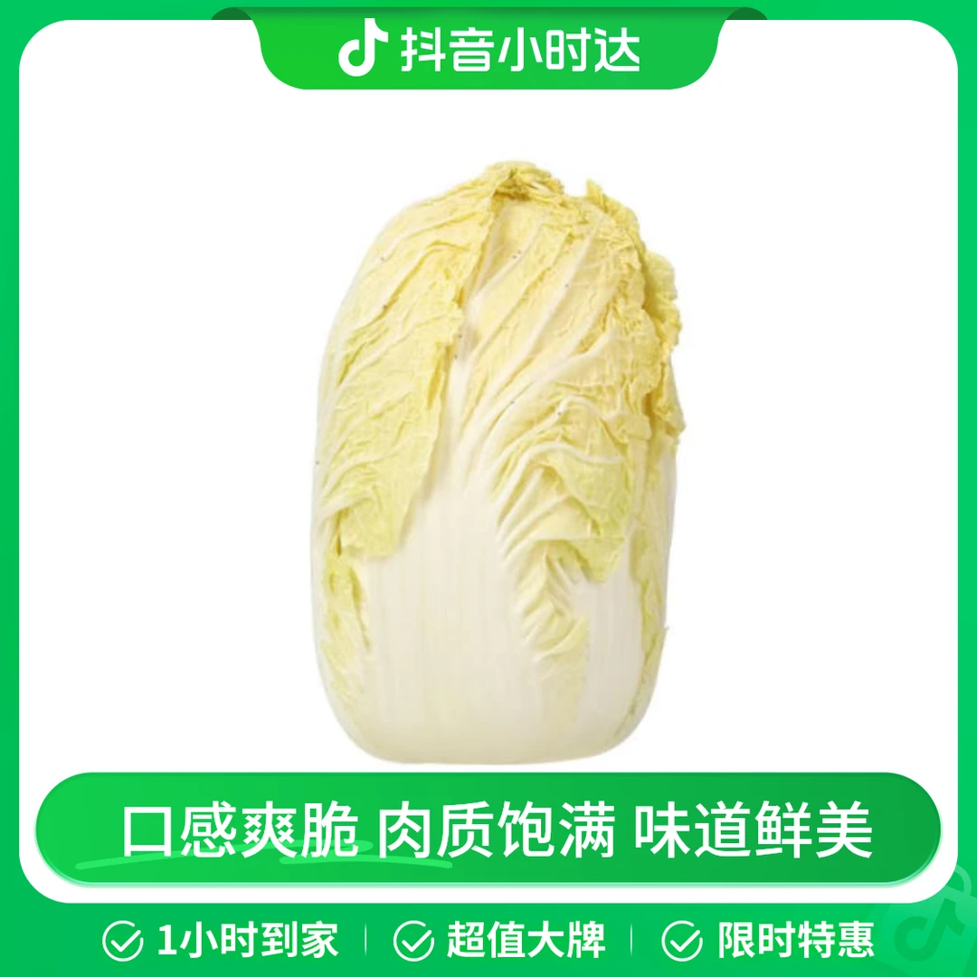 核桃纹大白菜 1.5kg