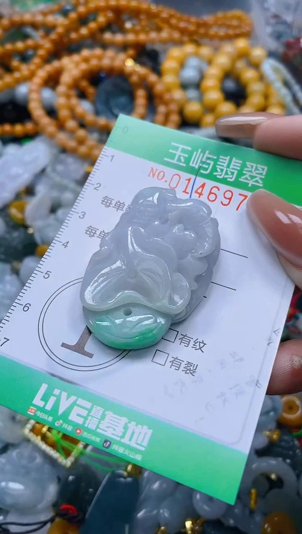 翡翠未镶嵌颈饰闪购0146970