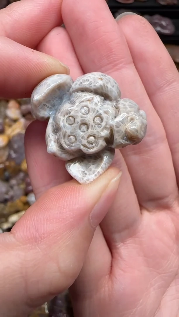 颈饰未镶嵌硅化珊瑚（珊瑚玉）545
