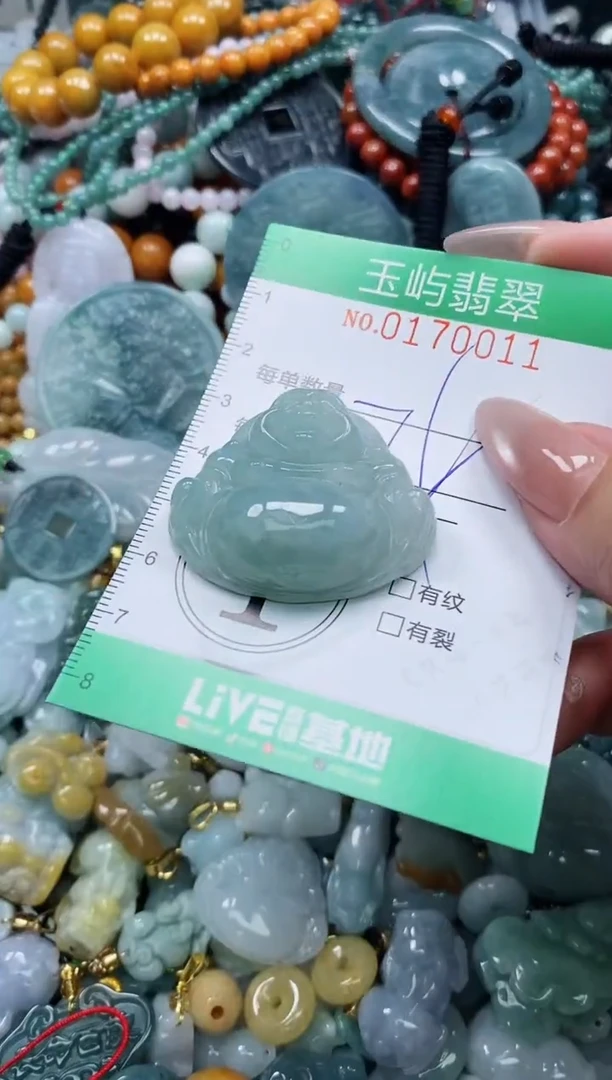 翡翠未镶嵌颈饰闪购0170011