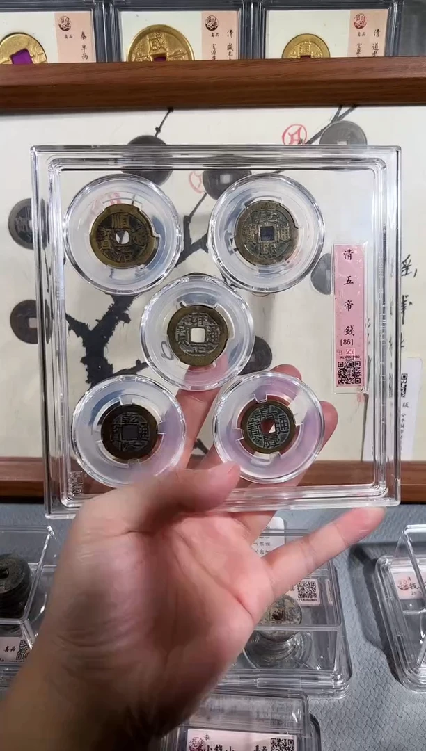 铜带评级精装款古钱币 清五帝钱 摇钱树