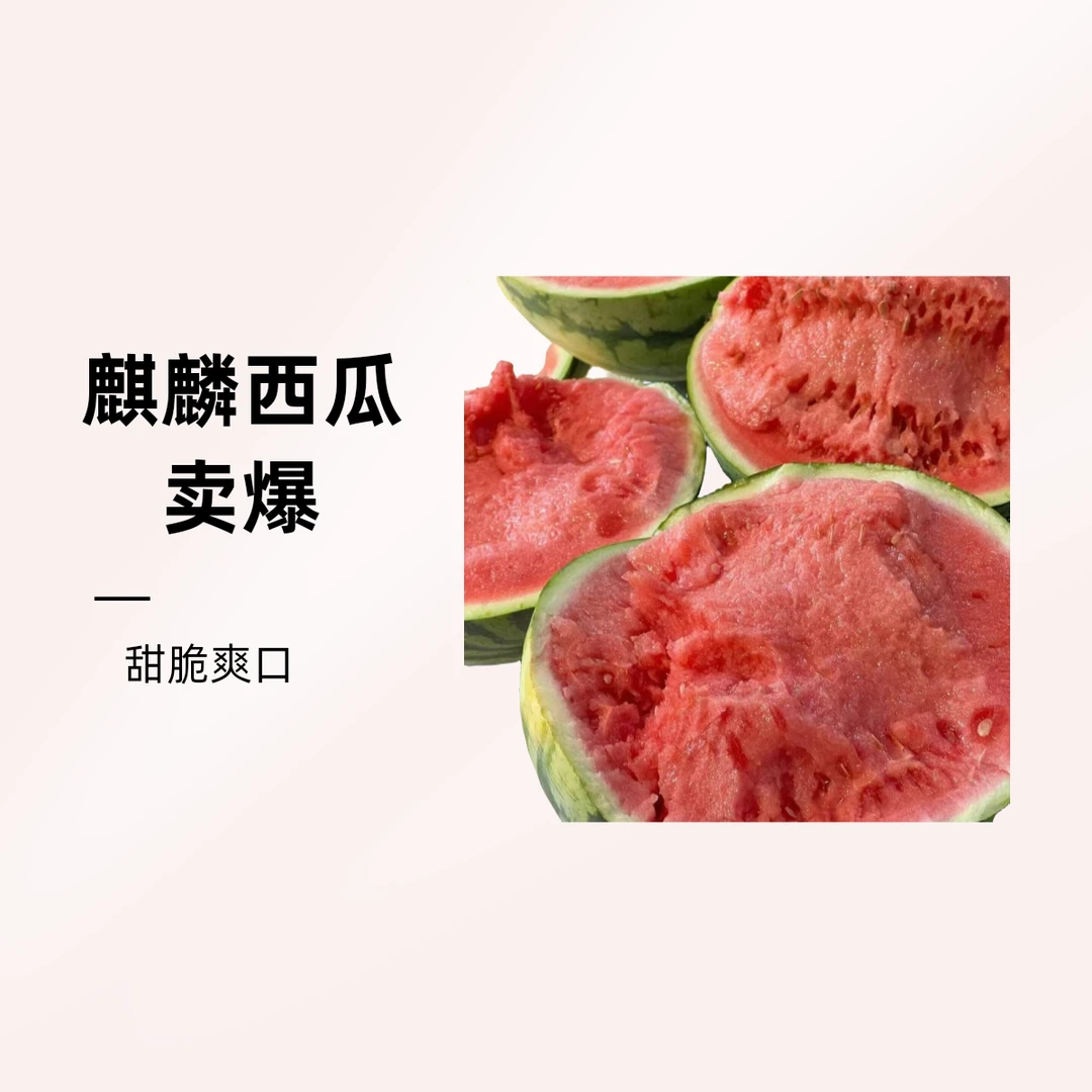 一包糖麒麟西瓜甜脆爽口一个12.5斤左右云南省