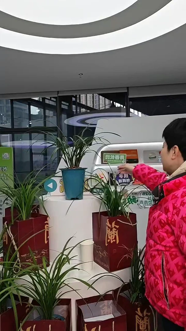 当前无花朵，栽培后可花朵❄***❄花开富贵，，，Y可可