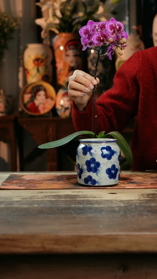 【闪购商品】瓷片景德镇纯手工釉下彩精品茶具