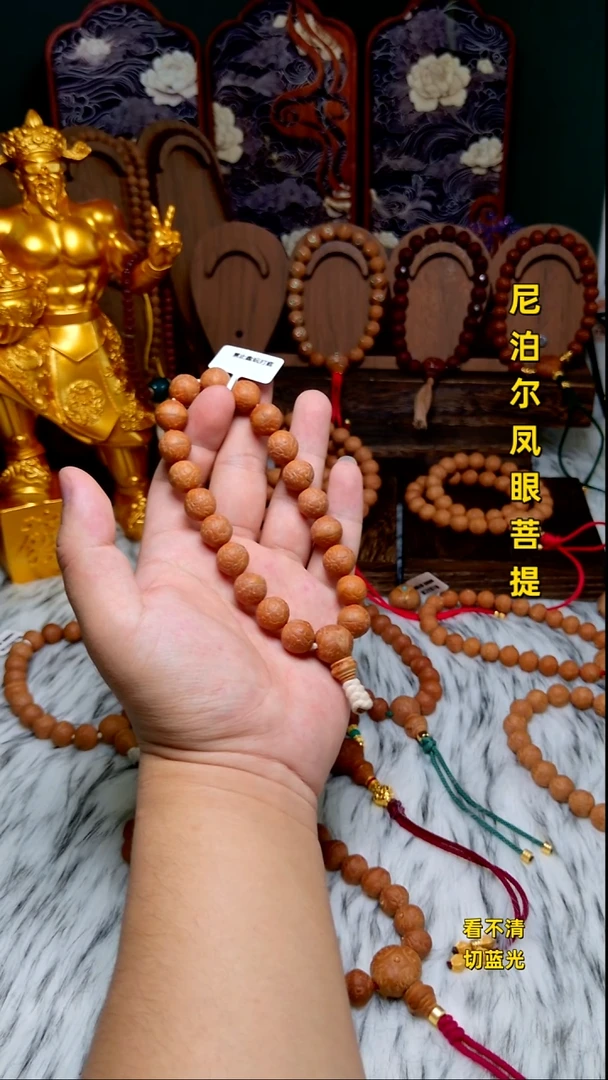 手串凤眼菩提新籽13