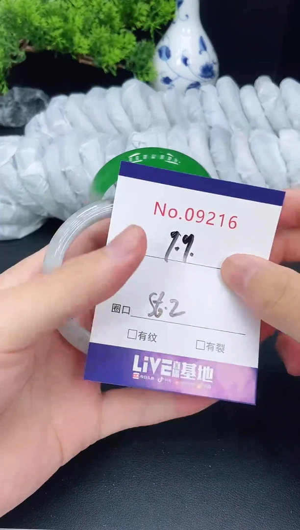 未镶嵌手镯翡翠9216