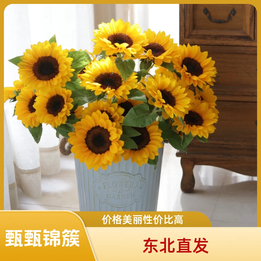 （黑心）向日葵东北基地直发新鲜采摘