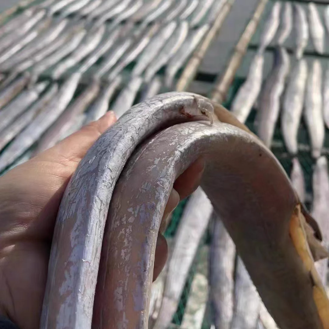 台州东海新鲜风带鱼干温岭石塘新鲜咸鱼干腌制特产自然风干海鲜