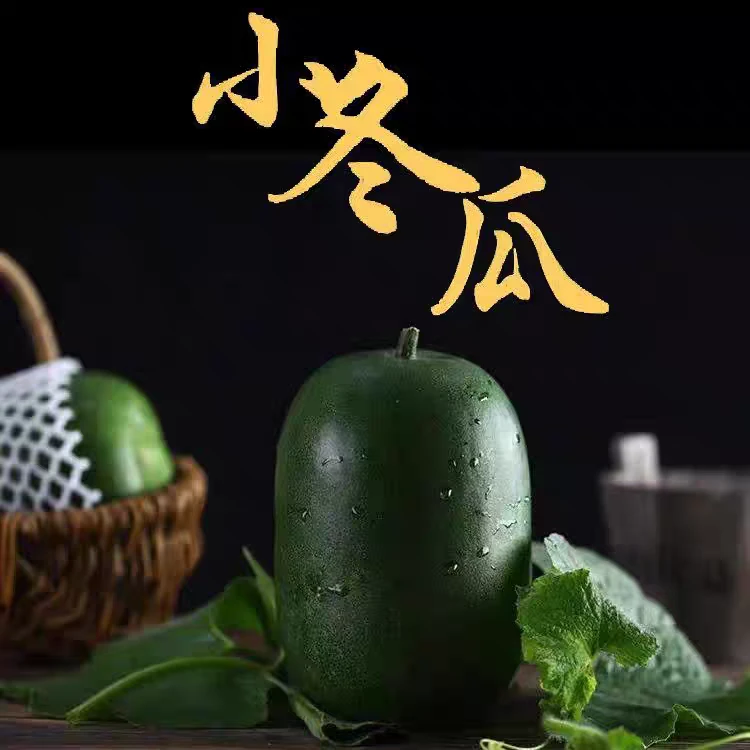 迷你小冬瓜农家自种新鲜小冬瓜香冬瓜个头较小清香口感迷你老冬瓜
