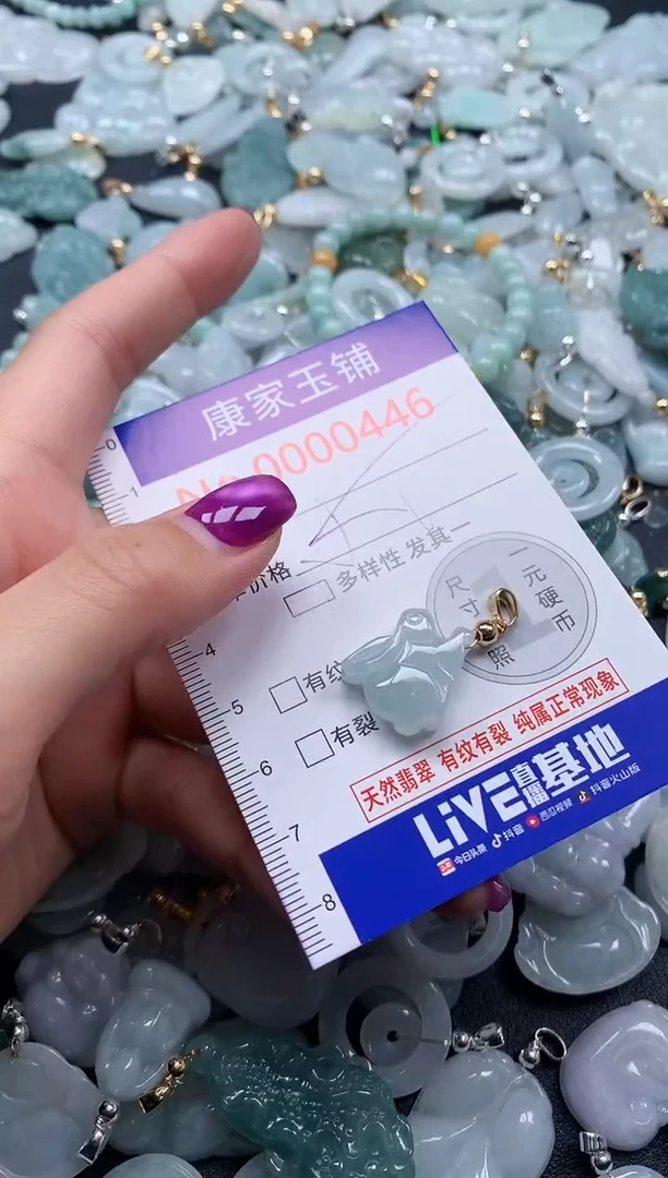 颈饰未镶嵌翡翠446