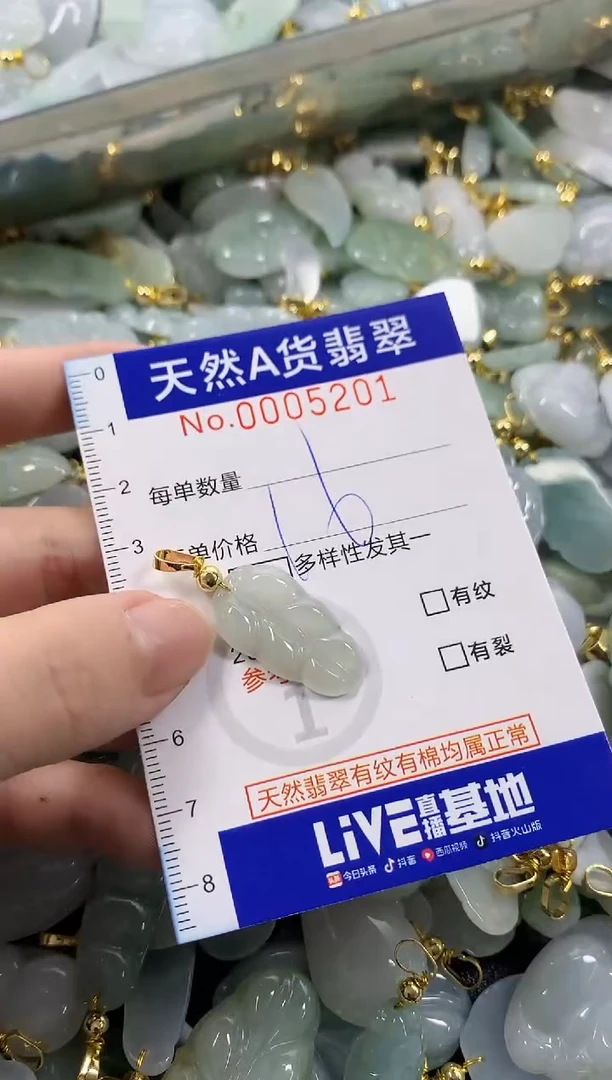 颈饰未镶嵌翡翠天然A货翡翠