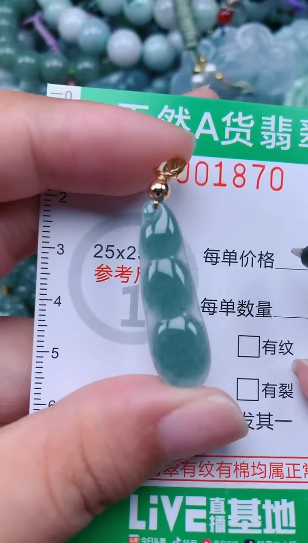 翡翠未镶嵌颈饰.0001870