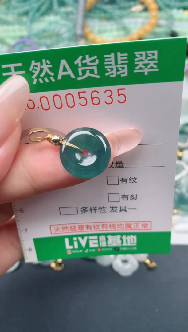 翡翠未镶嵌颈饰.0005635