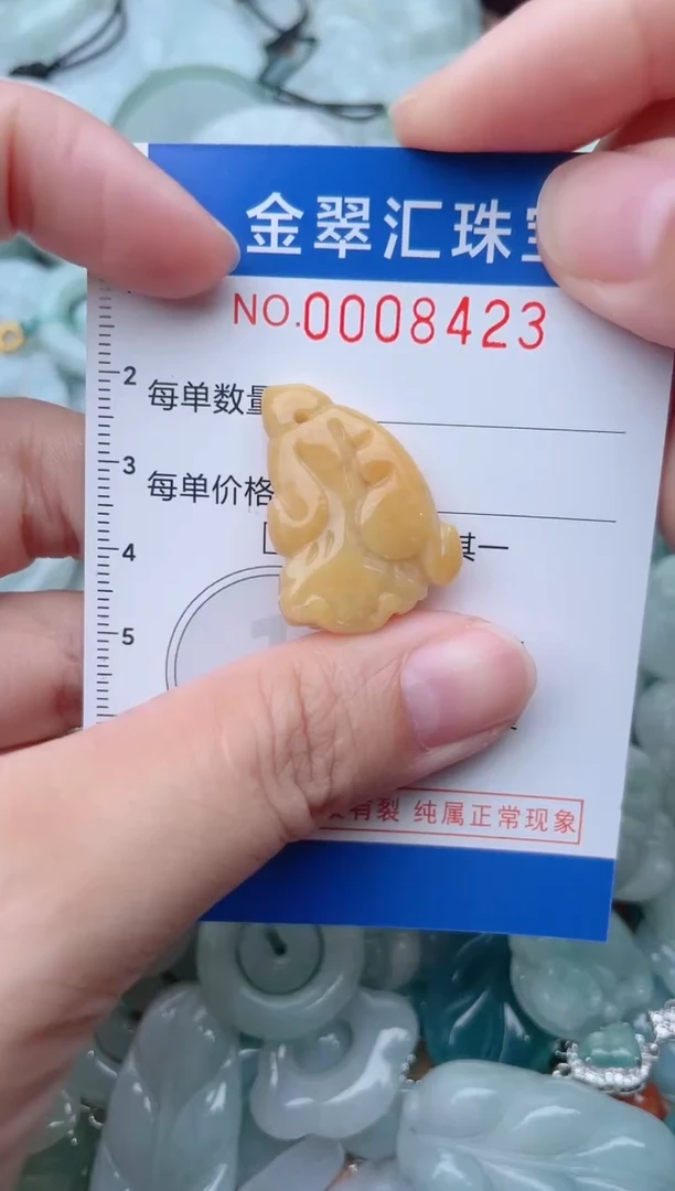 颈饰未镶嵌翡翠8423