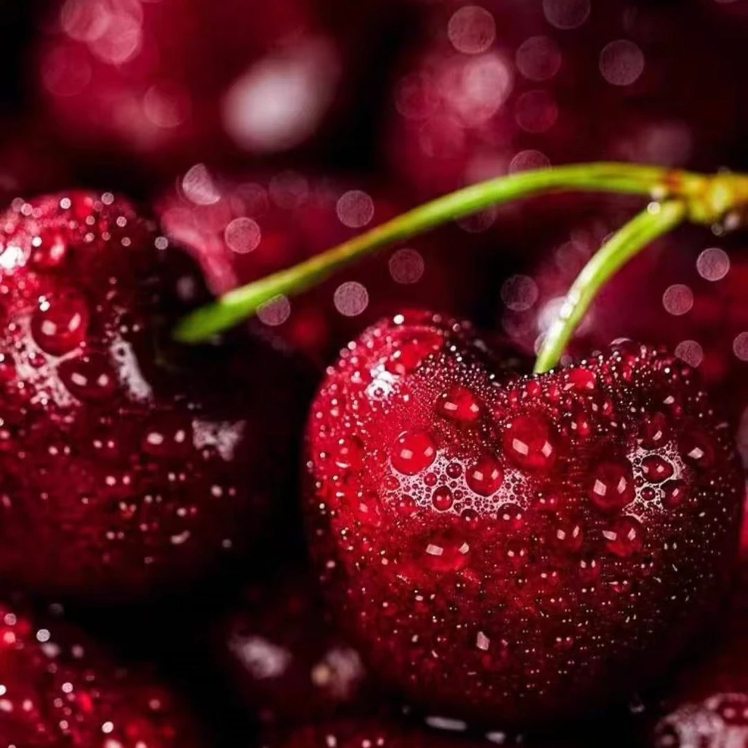 【珊姐优选】海运车厘子甜心 J-4J 5斤装 内附果径卡