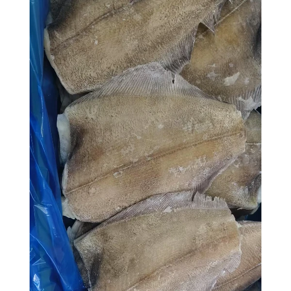 【1号】 深海鲽鱼身 现称现发