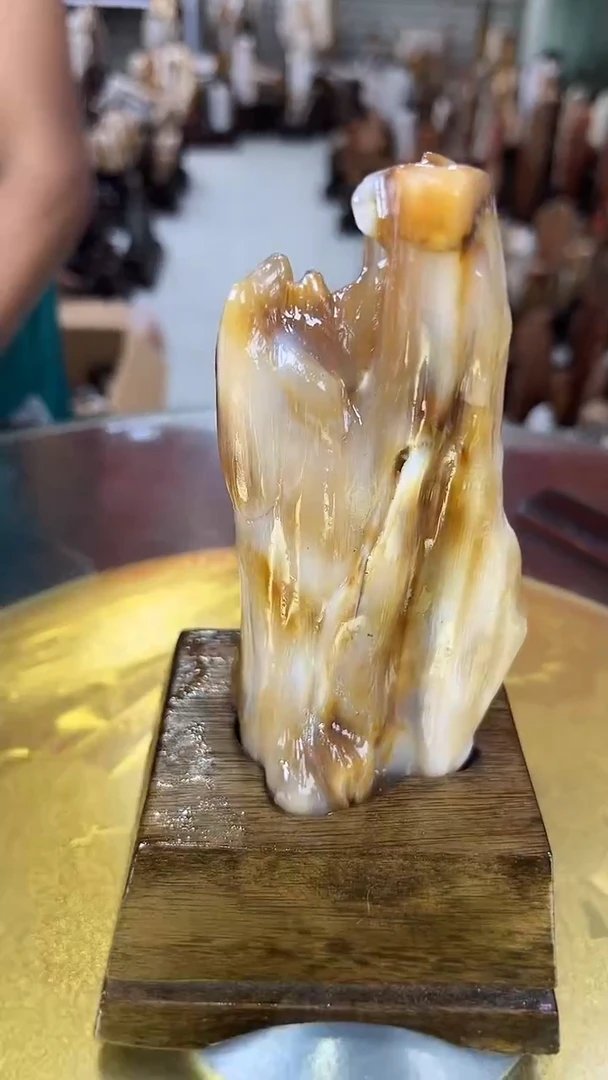 硅化玉珠宝奇石未镶嵌缅甸天然树化玉摆件
