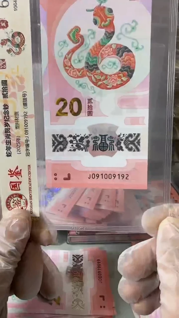 【闪购商品】塑料091009192-蛇钞单张！