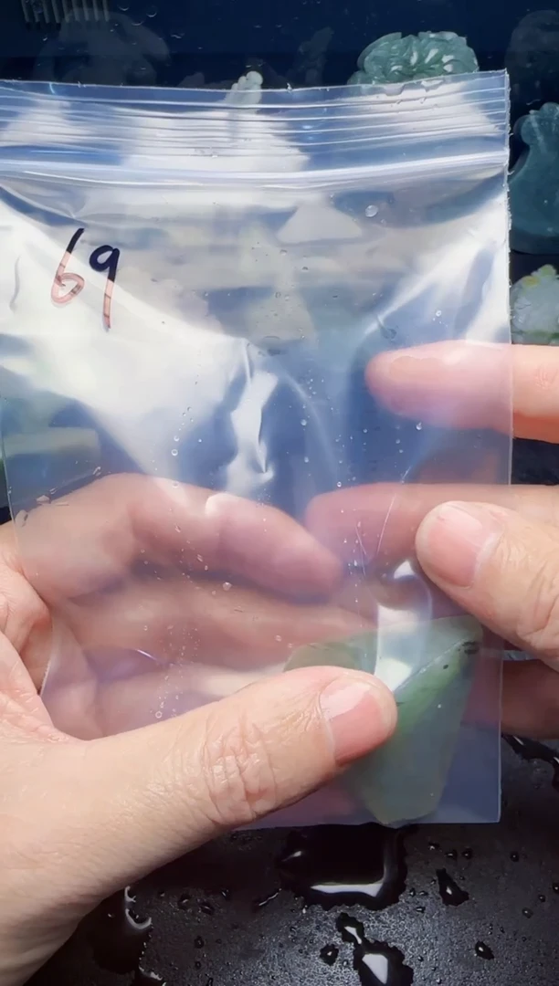 颈饰未镶嵌翡翠青**子69