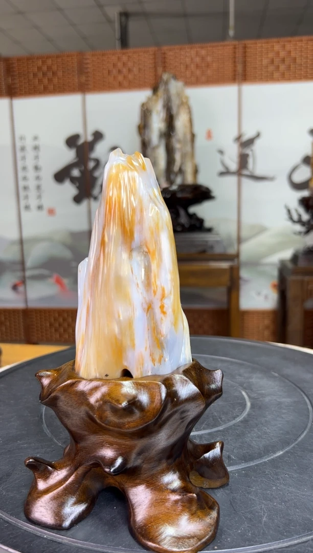 未镶嵌珠宝奇石硅化玉1