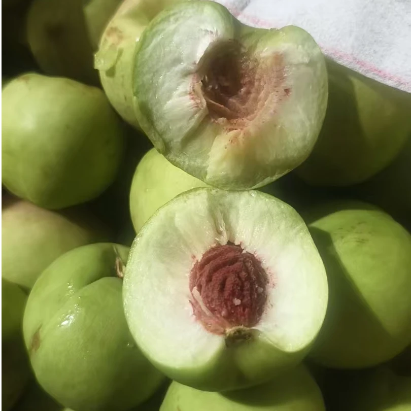 茶桃净重4斤左右