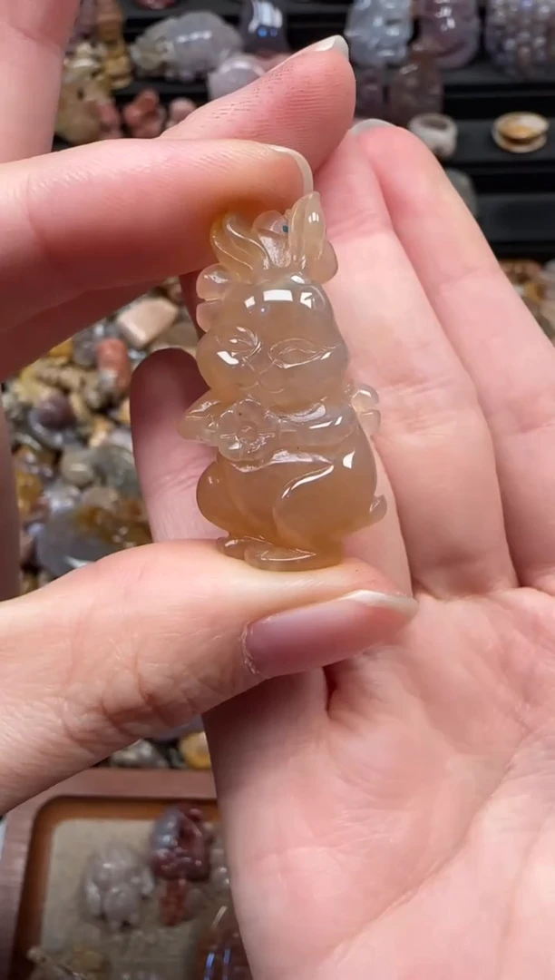 颈饰未镶嵌硅化珊瑚（珊瑚玉）374