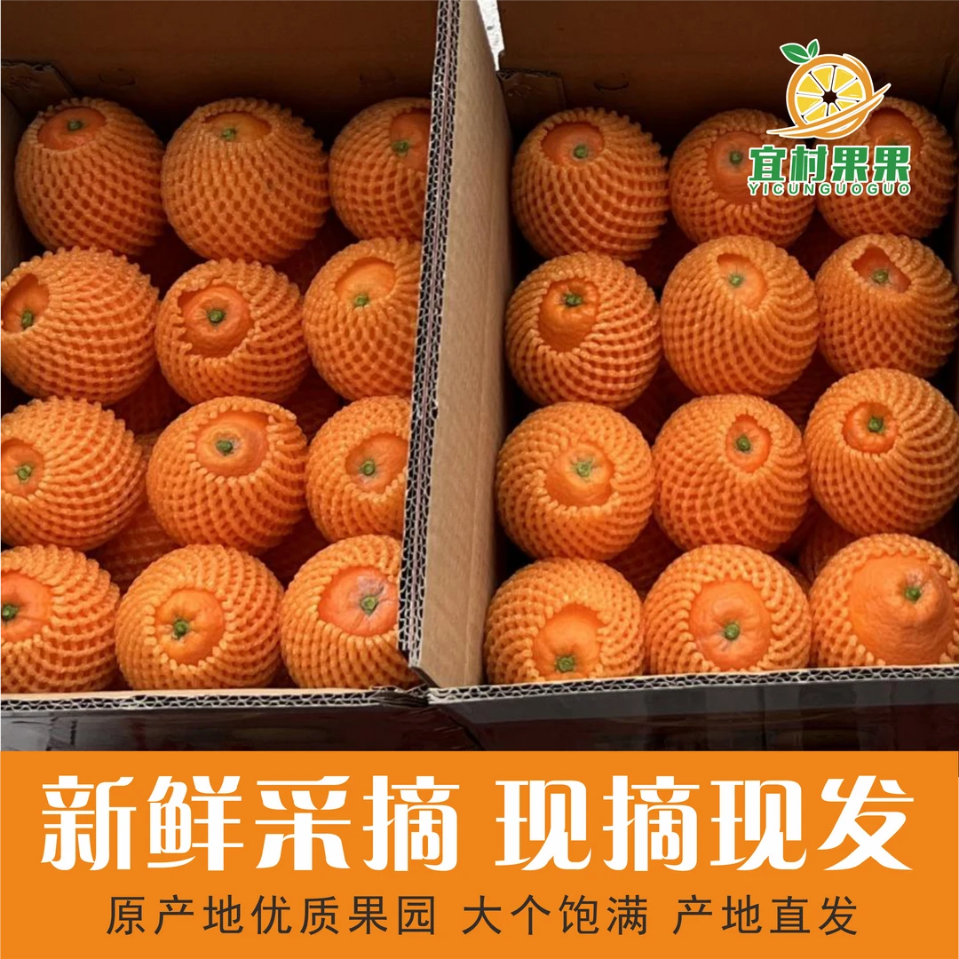 宜昌纽荷尔脐橙纯甜橙子农家自种新鲜现摘水果皮薄多汁