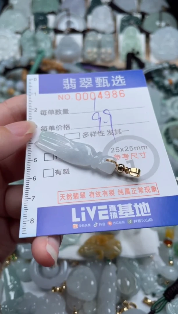 翡翠未镶嵌颈饰00..4986