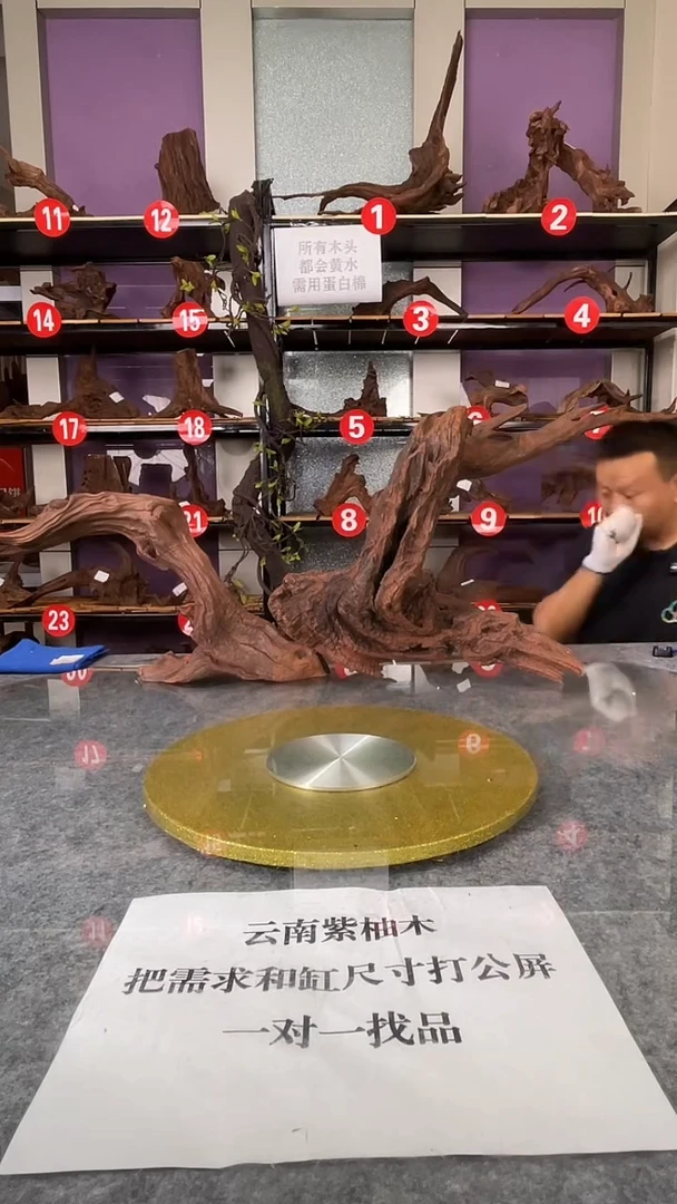 【一物一拍】鱼缸造景沉木云南紫柚木一木成景