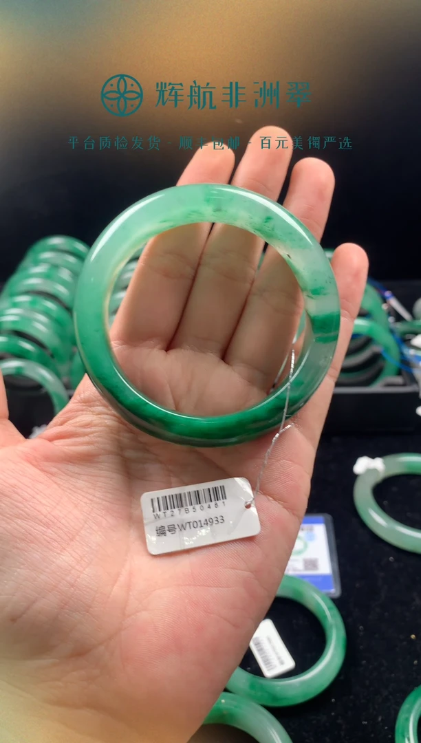 石英质玉（非洲翠）手镯未镶嵌非洲翠石英质玉手镯