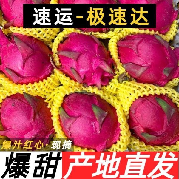 京都一号热带新鲜红心红肉火龙果广西热带水果包邮当季海南金都
