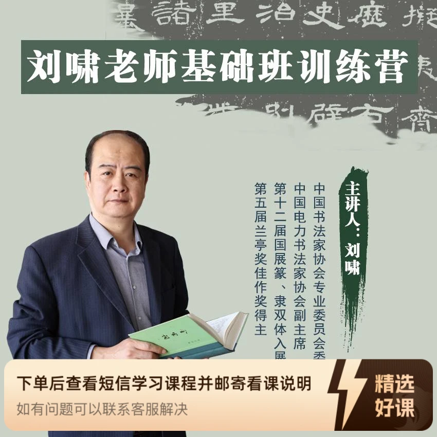 刘啸老师书法基础临帖训练班（留意短信解锁课程）