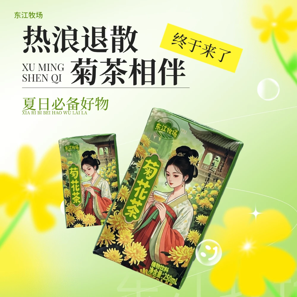 东江牧场菊花茶包邮250ml*10盒聚餐必备低糖饮料菊花茶饮料