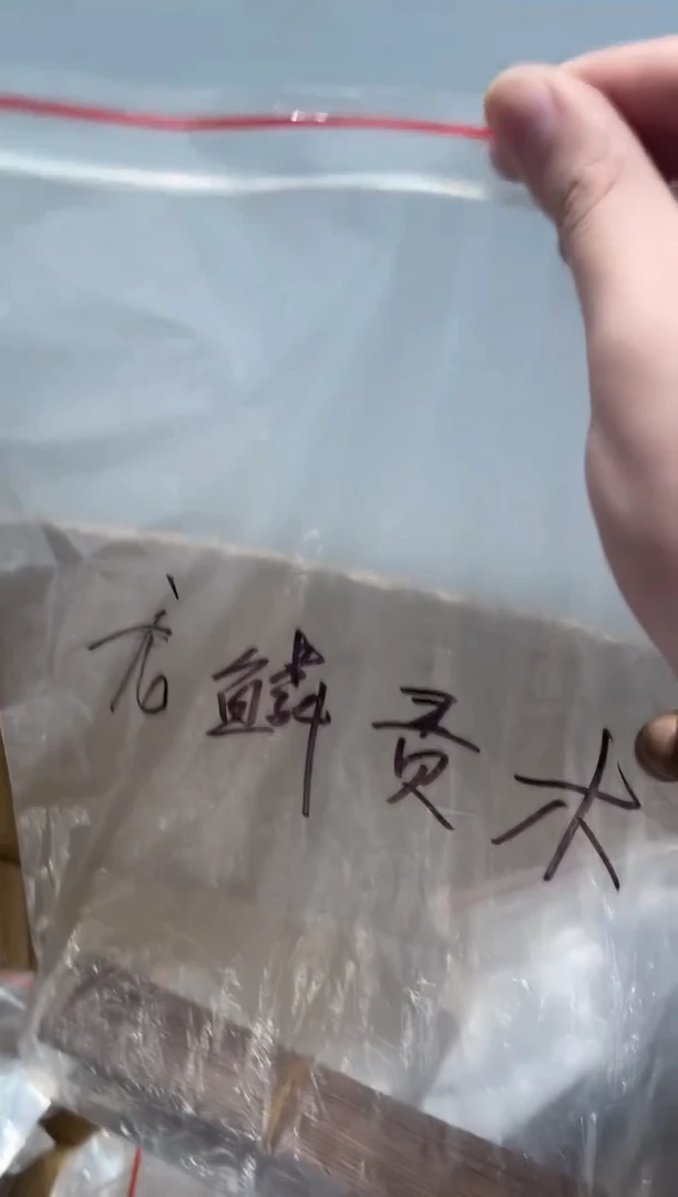 线香二婚龙鳞100g