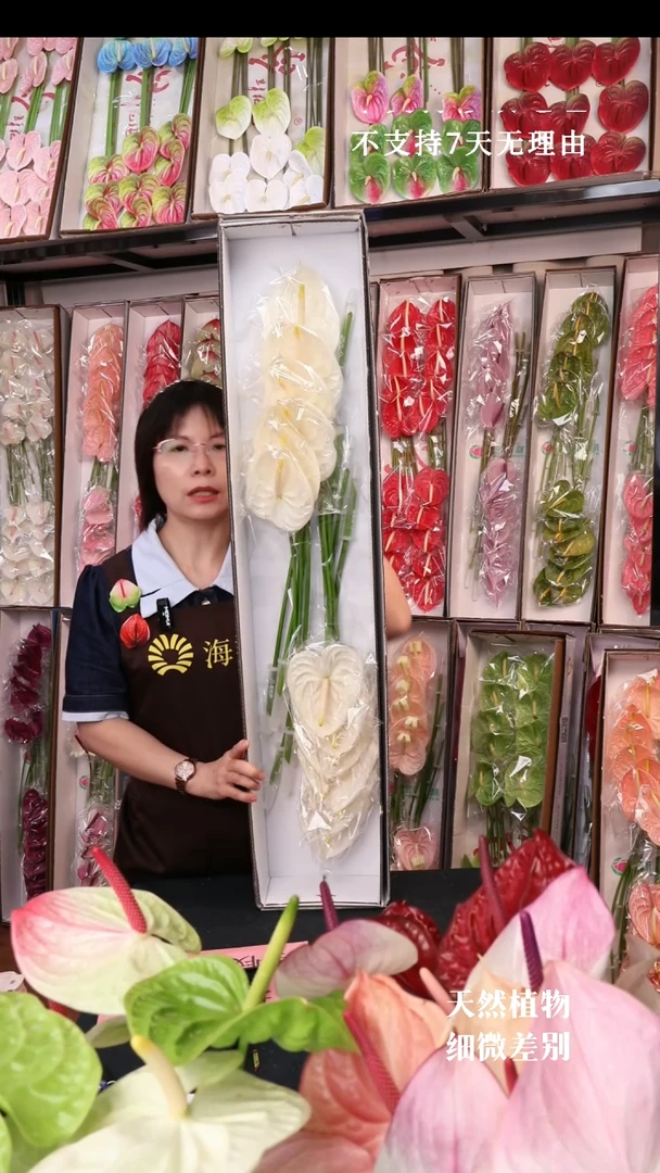 白掌微瑕不售后捡漏