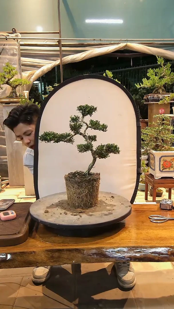 完全开放一**听000000000000