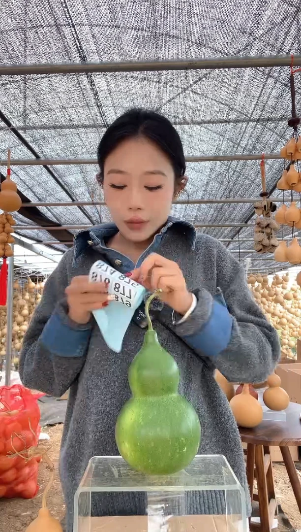 873天然葫芦摆件 一物一拍龙头不保售后