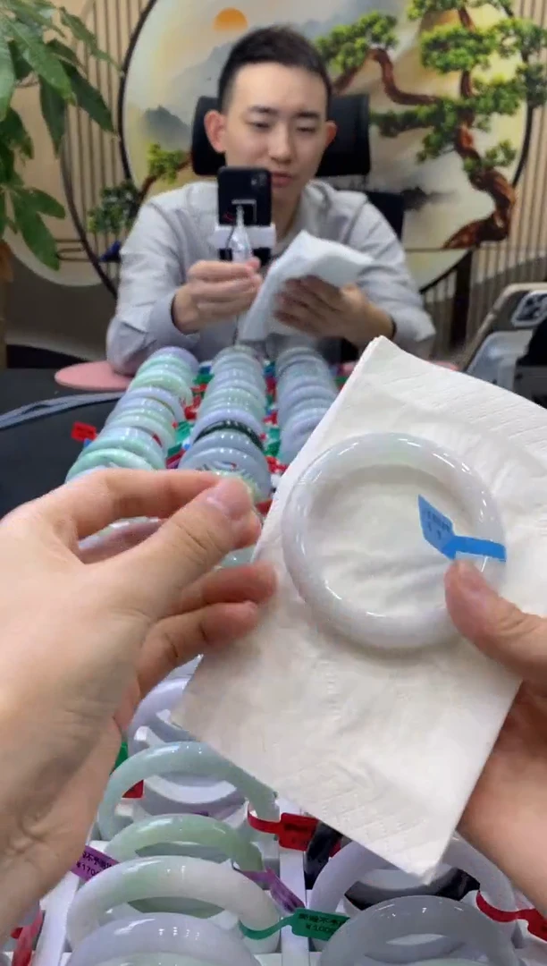 未镶嵌手镯翡翠8813