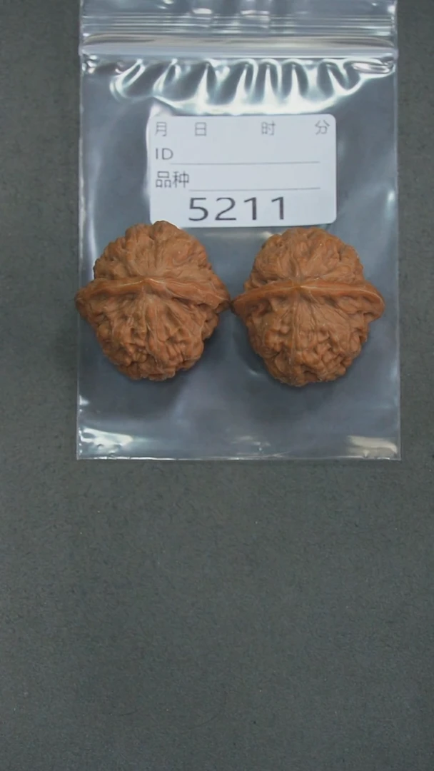 把件文玩核桃远*40凤凰台