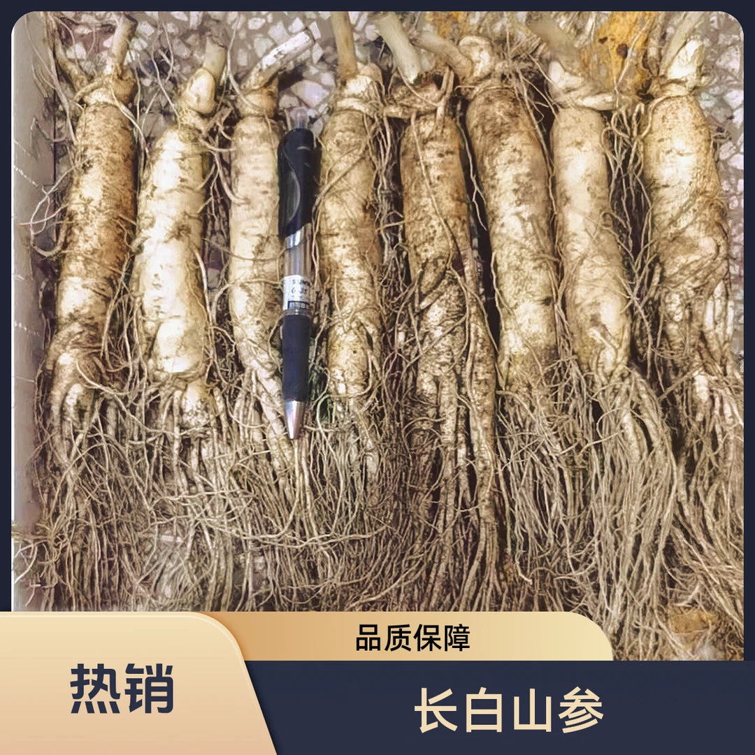 长白山鲜人参适合煲汤泡酒6-7支一斤【保温箱＋青苔发货】