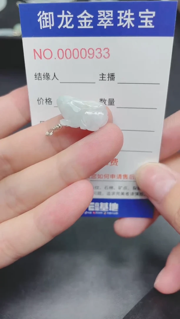 翡翠未镶嵌颈饰019