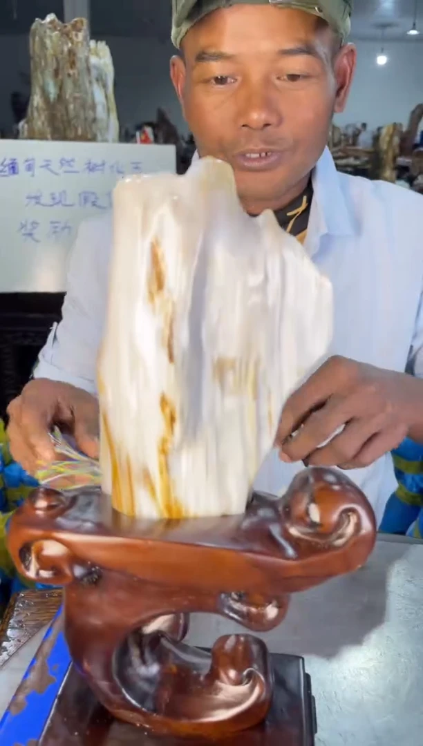 未镶嵌摆件硅化玉3