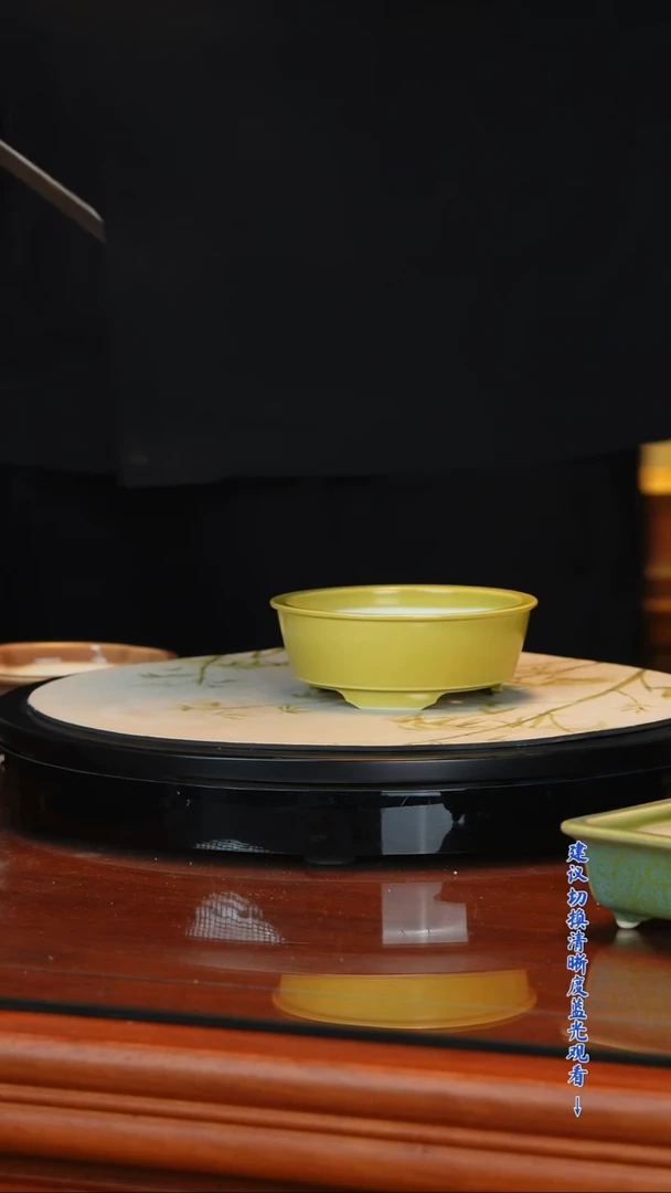 ****s陶瓷花盆 一物一拍