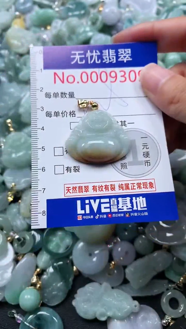 颈饰未镶嵌翡翠9309