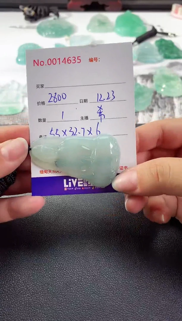 颈饰未镶嵌翡翠素衣