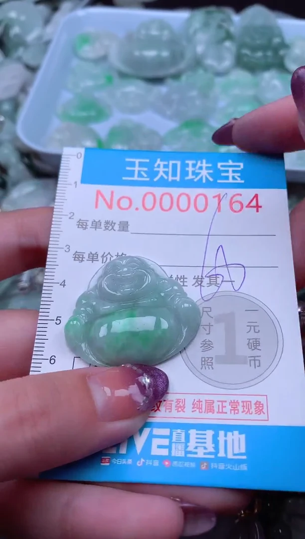 翡翠未镶嵌吊坠(不含链)164