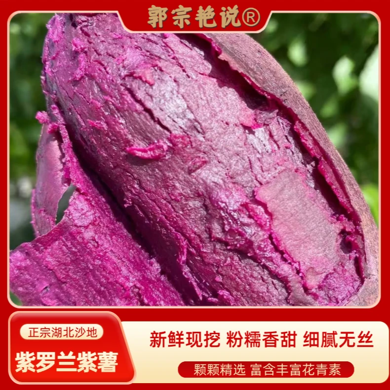 【农家紫薯】沙地紫薯中大果农家蔬菜小地瓜新鲜山芋时令烤番薯健康