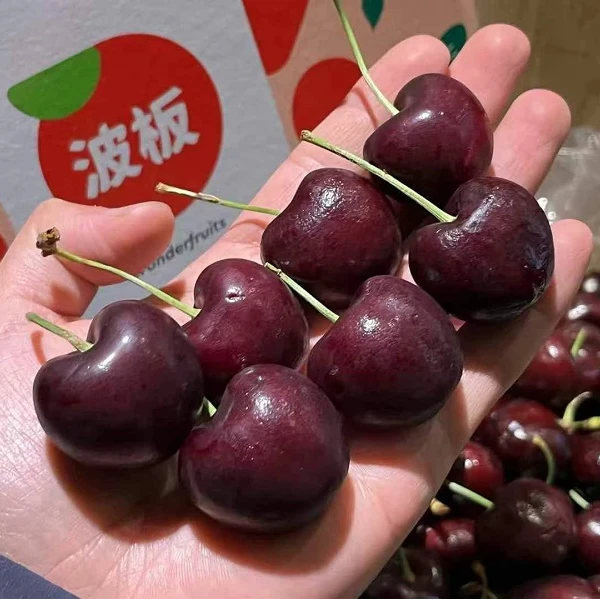 智利3JDD海运车厘子 桑提娜 2斤分装 5斤原箱净重 内附果径卡