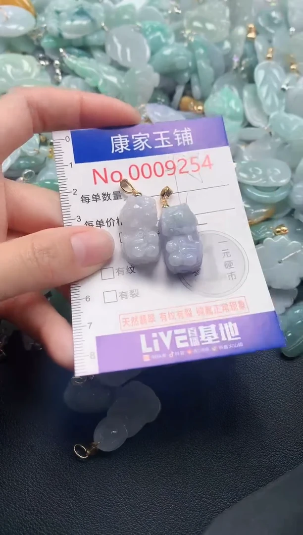 颈饰未镶嵌翡翠9254